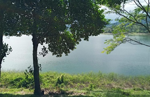 Teldeniya Other | Randeniya Hena - Kandy