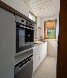 Bad Schlema House | Randfichte - die Hütte direkt am Wald