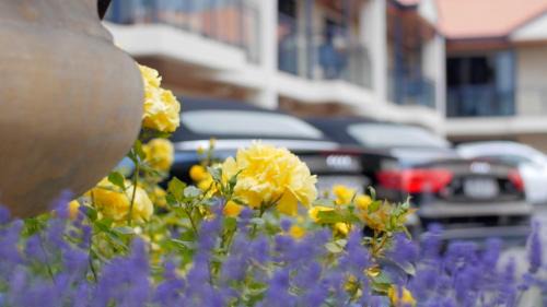 Merivale Apartment | Randolph Motel Apartments