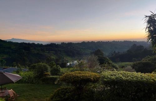 Kiamuturi Cabin | Ranges View Lodge - Aberdare Safari in Murang'a