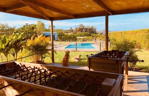 Hanga Roa Cabin | Rangi Moana