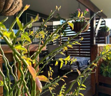 Amuri House | Rangiriri Vacay Unit 1