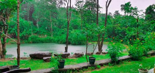 Epitawala Bed & Breakfast | Ranpokuna Bungalow with 3 Bed Rooms