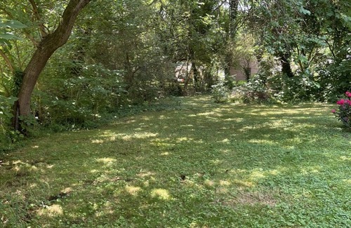 Southwest Raleigh House | Rare Downtown South District Home with Beautiful Backyard