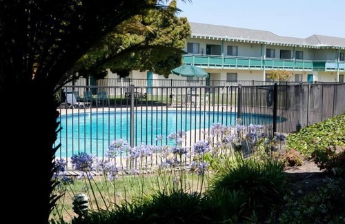 East End Apartment | Rare Find! 3 Comfortable Units, Pool, Free Breakfast, Free Parking!