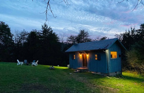 Scottsville Apartment | Rare Find: Private Animal Sanctuary & Tiny Cottage