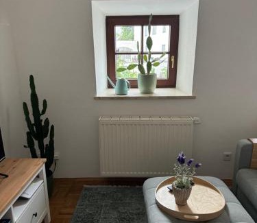 Wasserburg am Inn Apartment | Rare Gem in Wasserburg