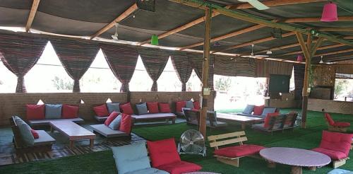 Hatseva Other | Ras Hasita