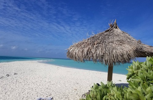 Rasdhoo House | Rasdhoo Lilac Stay (calm and peaceful stay)