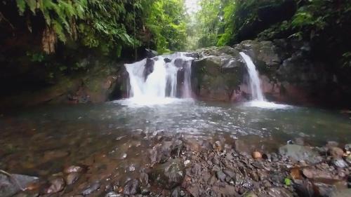 Kecamatan Pringgasela House | Raturinjani homestay