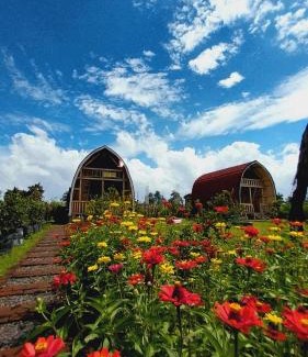Kecamatan Pringgasela House | Raturinjani homestay