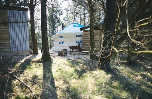 Glandyfi Other | Raven Yurt - Yurtopia