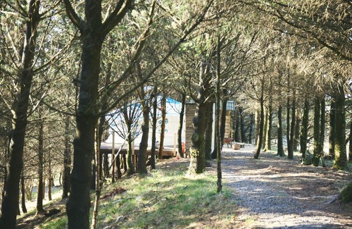 Glandyfi Other | Raven Yurt - Yurtopia