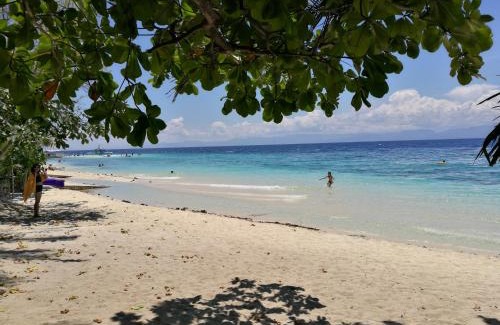 Moalboal Resort | Ravenala Beach Bungalows