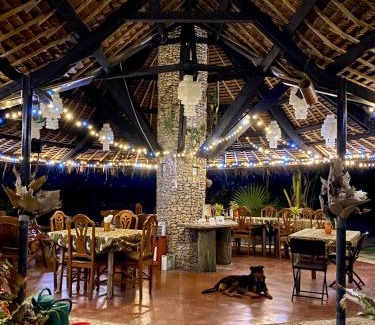 Moalboal Resort | Ravenala Beach Bungalows