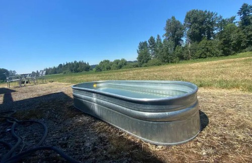 Ferndale RV Rental | Ravens’ pad campsite at June Bud Farms