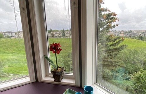Edgemont House | Ravine House, 4000sqf, View, AC,Sleep12+nn