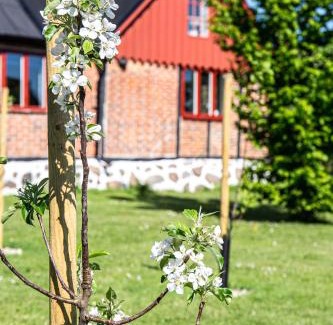 Kivik House | Ravlunda Byaväg 12