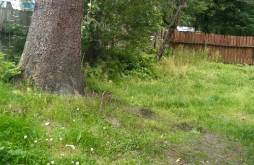 Mendenhall Valley House | Raw Gold - Affordable, Near Mendenhall Glacier, Trails, and Conveniences - DISCOUNTS ON TOURS!
