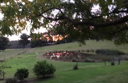 Gruyere House | Raynella Alpaca Farmstay