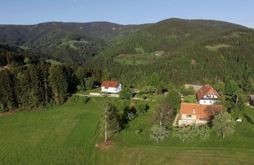 Pohorje Ski Chalet | Razborca apartment
