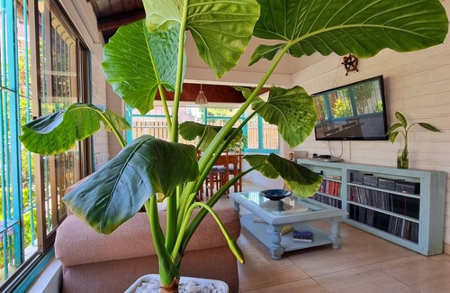 Renaca House | Reñaca House B&B