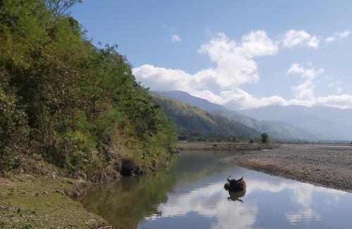 Gabaldon Resort | Rea's Bamboo Resort