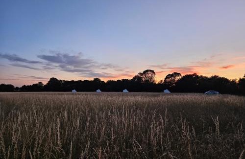 Howlett End Other | Readers Field Glamping