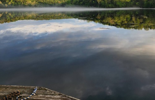 Branson Cabin | Real Log Cabin On Lake Taneycomo w/ Boat Slip