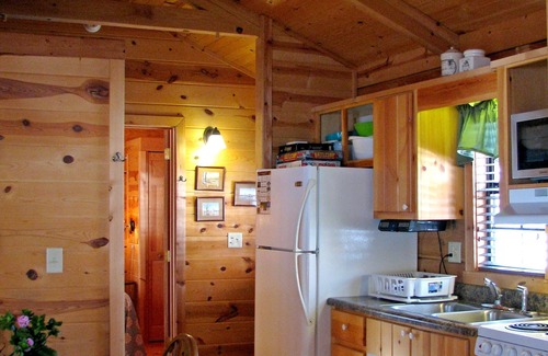 Altamont Cabin | Real Logs-1BR, queen bed & futon-sleeps 4. Riverside w/Hot Tub