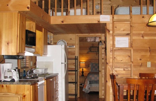 Altamont Cabin | Real Logs-1BR, sleeping loft & futon-sleeps 6. Riverside w/Hot Tub