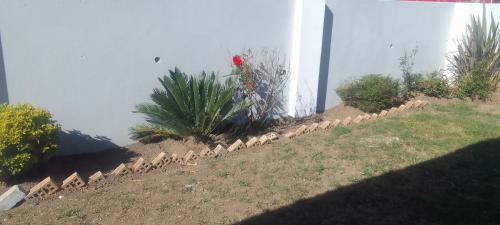 Umtata Apartment | Real Touch Spa Accomodation