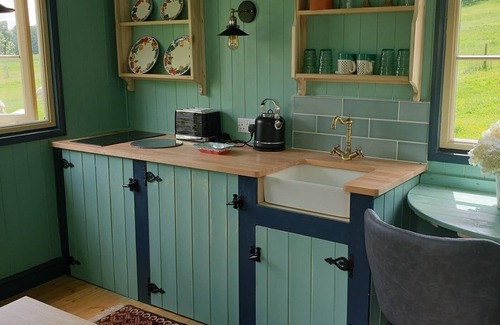 Frampton Cabin | REALLY luxurious new shepherd's hut, overlooking our alpacas!