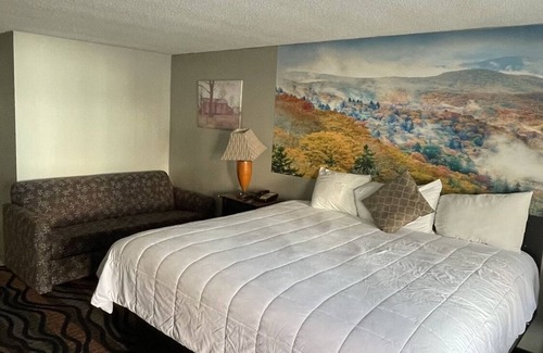 Gatlinburg Hotel | Really Spacious King Room