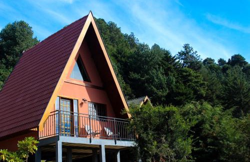Vila Everest Ski Chalet | Recanto do Bosque