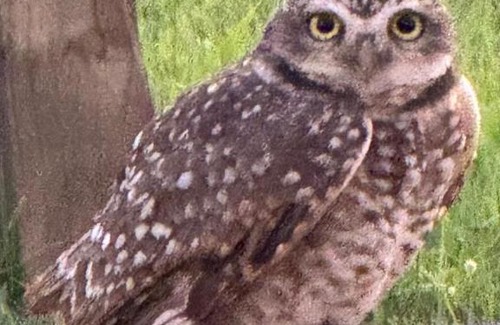 Daniela House | Recanto do Mar