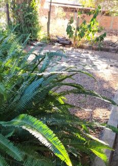 Alto Paraiso de Goias House | Recanto dos Maciotas