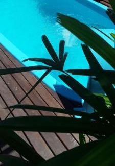 Morrinhos House | Recanto dos pássaros