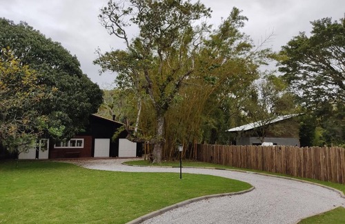 Ratones House | Recanto para relaxar com a natureza e os pássaros