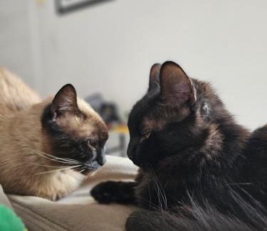 Regiao Norte House | Recanto Vó Alda c Piscina Sinuca prox Paraguai