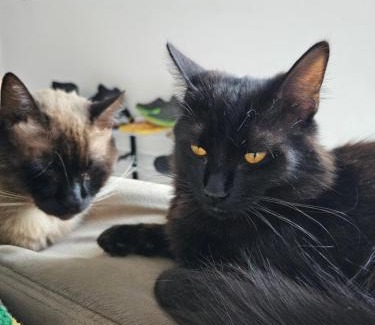 Regiao Norte House | Recanto Vó Alda c Piscina Sinuca prox Paraguai