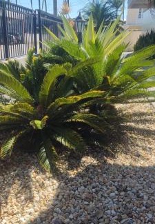 Ponta do Papagaio Apartment | Recanto Vó Mônica