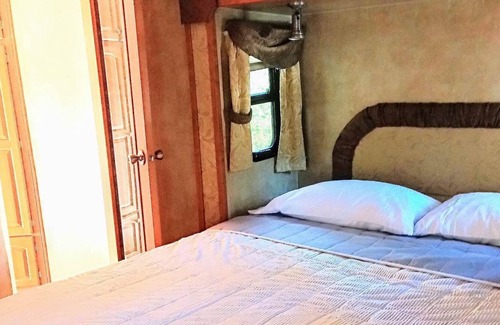 Ono Island House | Reconnect with nature at this unforgettable escape.