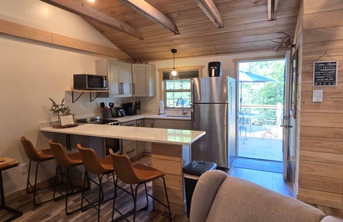 Oakland Cabin | Recreational Therapy- Private 2 Bedroom with Hot Tub and Firepit