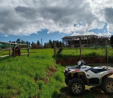 San Nicolas Other | Red Blood Vineyard