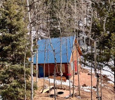 Florissant House | Red Door cabins