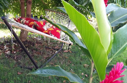 Kailua-Kona Apartment | Red Ginger Garden Studio