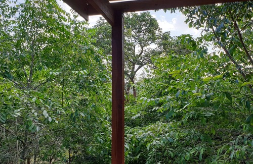 Mount Hope Apartment | Red Parrot - new famous house within the nature