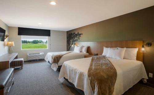 Torrey Hotel | Red Sands Hotel