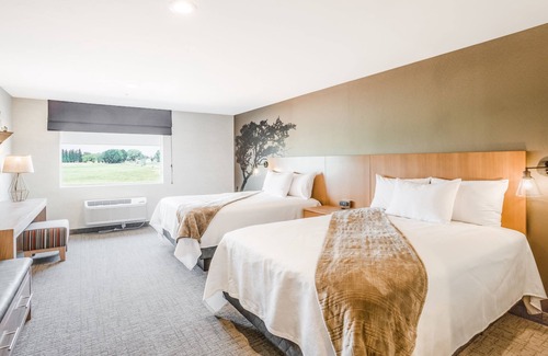 Torrey Hotel | Red Sands Hotel